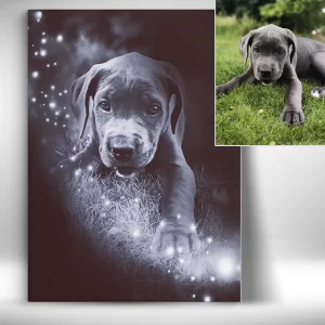 Fotoobraz domází mazlíček